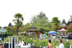 DAYLIGHT, DARK NIGHT AND BLUE SKIES WITH PAPA BUENO